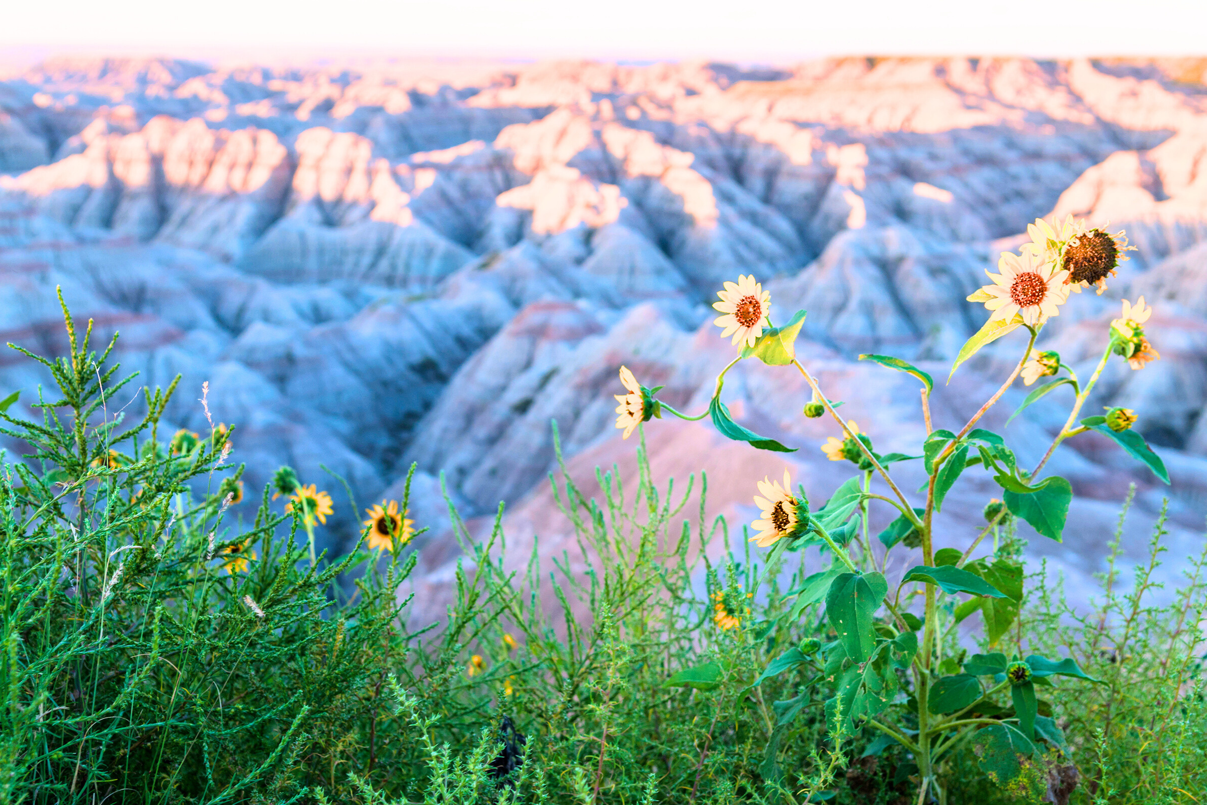 badlands national park, south dakota (4).webp